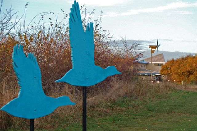 Blue bird sculptures flanking a path towards a modern building with a wind turbine amidst autumn foliage