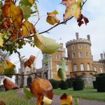 Autumn leaves in focus with a historic castle in the background, showcasing seasonal beauty and architecture