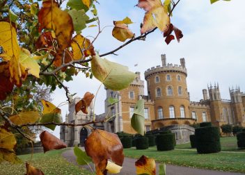 Autumn leaves in focus with a historic castle in the background, showcasing seasonal beauty and architecture