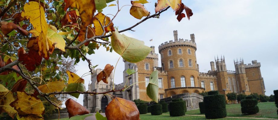 Autumn leaves in focus with a historic castle in the background, showcasing seasonal beauty and architecture