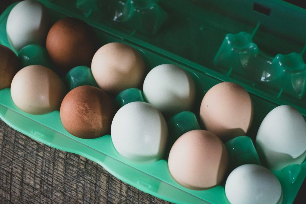 white egg on green plastic container