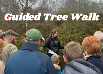 Group enjoying a guided tree walk in a forest setting with a knowledgeable guide sharing insights