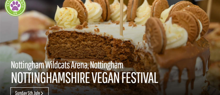 Vegan cake at Nottinghamshire Vegan Festival, Nottingham Arena, 5th July, UK Vegan Events logo visible