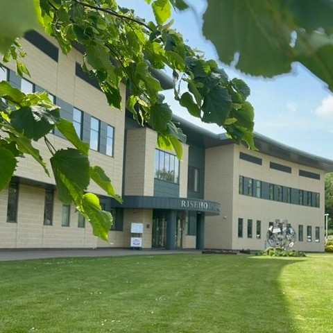 Modern office building surrounded by green foliage and lawn under a clear blue sky