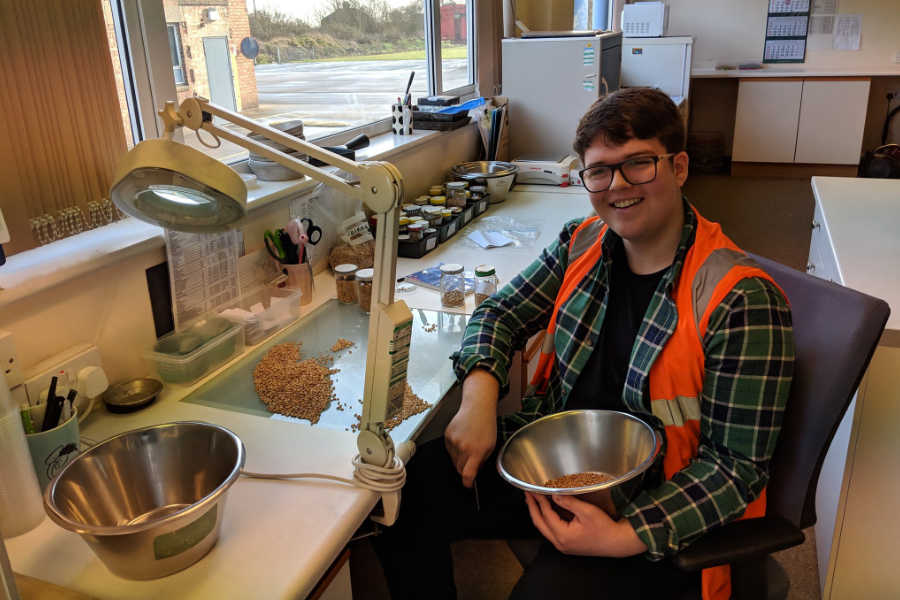 Young man in safety vest analysing seeds at workbench in laboratory setting