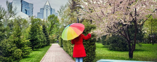 Person with a colourful umbrella in a park lined with cherry blossoms and modern buildings in the background